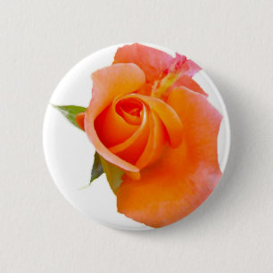 botón Rosa naranja / Badge / Brooch