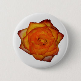 botón Rosa Naranja quemado