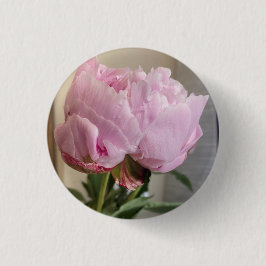 botón Rosa Peony