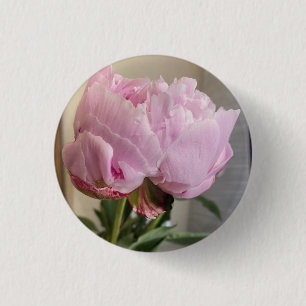 botón Rosa Peony