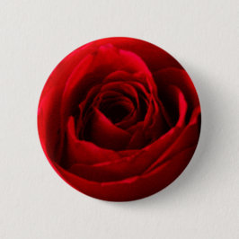 Botón Rosa Rojo