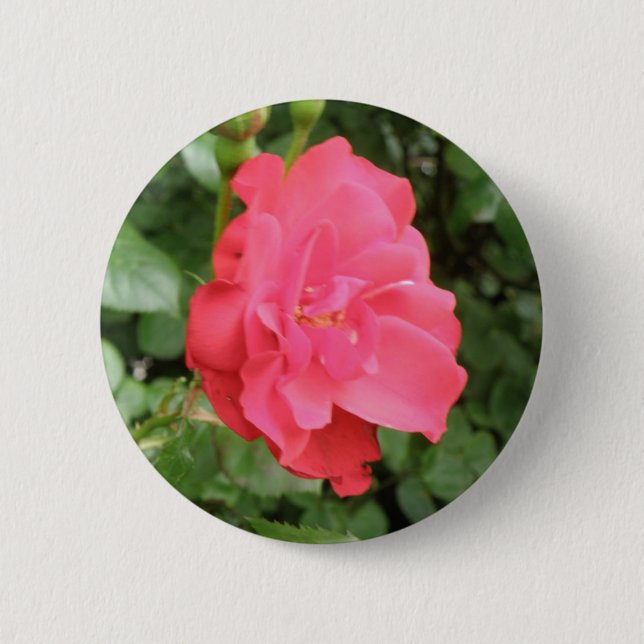 botón Rosa silvestre (Anverso)