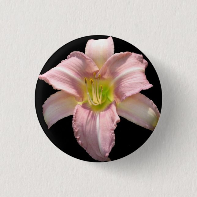 Botón rosado del lirio (Anverso)