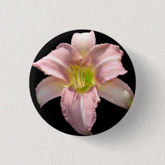 Botón rosado del lirio