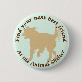 Botón siguiente 12 del mejor amigo