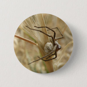 botón Spider and Egg Sac