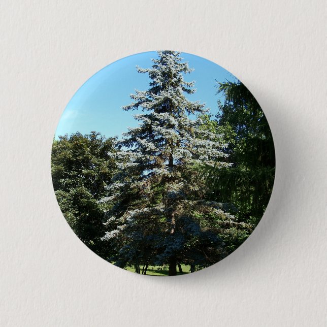 Botón Spruce azul (Anverso)