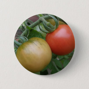 Botón Tomates naranja y Rojo