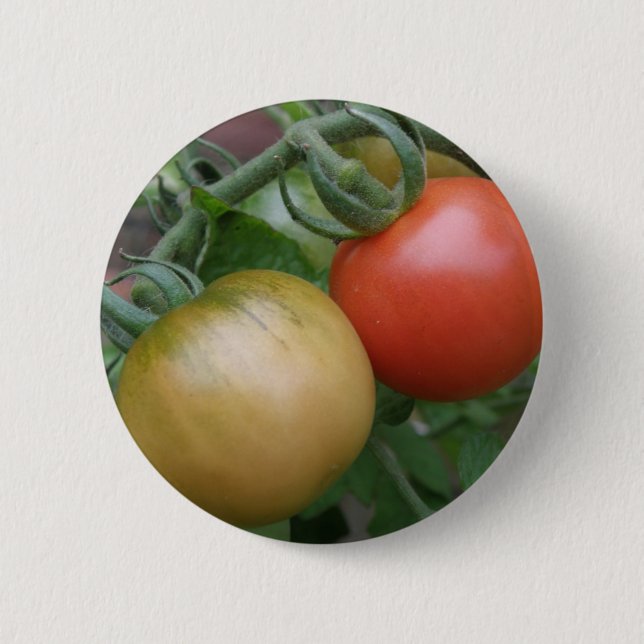 Botón Tomates naranja y Rojo (Anverso)
