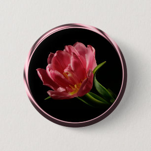 botón Tulip de doble Bloom de primavera