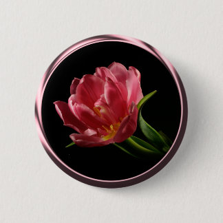 botón Tulip de doble Bloom de primavera