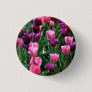 botón Tulipanes rosados y púrpura / Insignia