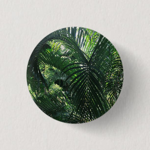 Botón verde de la palmera