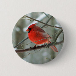 botón Vida silvestre del Cardenal Rojo (Hombres)