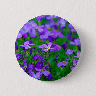 Botón violeta de las flores