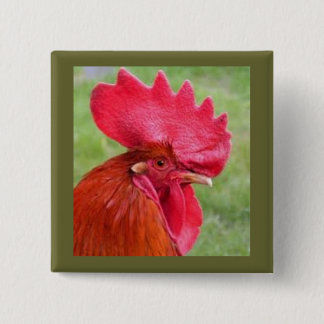Botón vivo de Coutry del gallo rojo