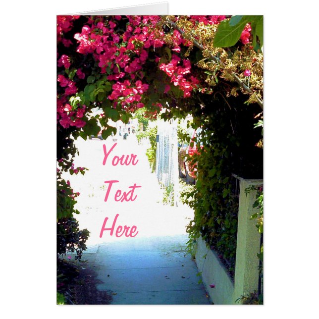 Bougainvillea (Frente)