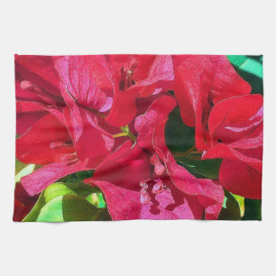 Bougainvillea Closeup Kitchen Toallas