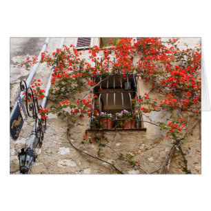 Bougainvillea en la ventana