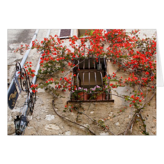 Bougainvillea en la ventana (Anverso (Horizontal))