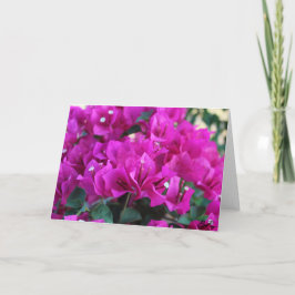 Bougainvillea - tarjeta de felicitación