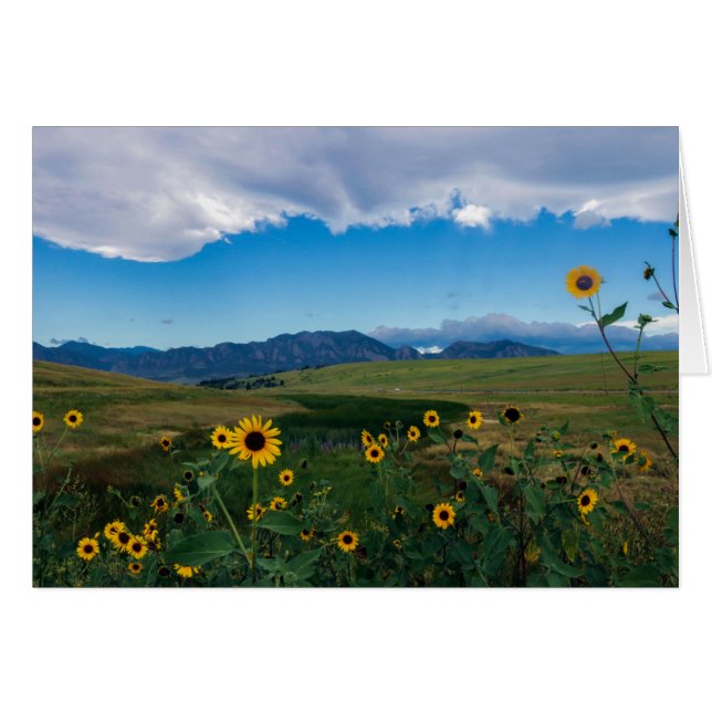 Boulder Summer (Anverso (Horizontal))