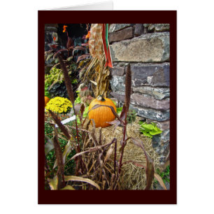 Bounty de la cosecha de otoño