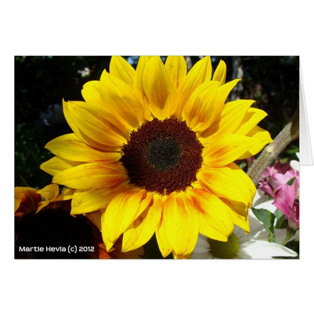 Bouquet de girasol y amigos (Anverso (Horizontal))