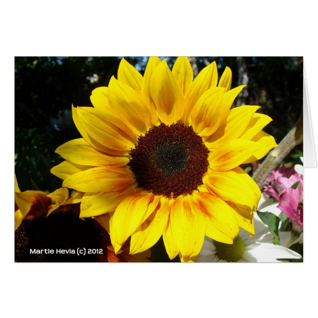 Bouquet de girasol y amigos (Anverso (Horizontal))