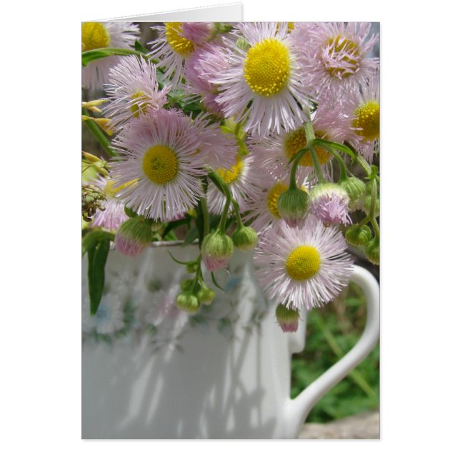 Bouquet de malezas (Frente)