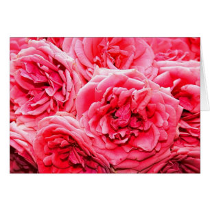 Bouquet Rosas ingleses