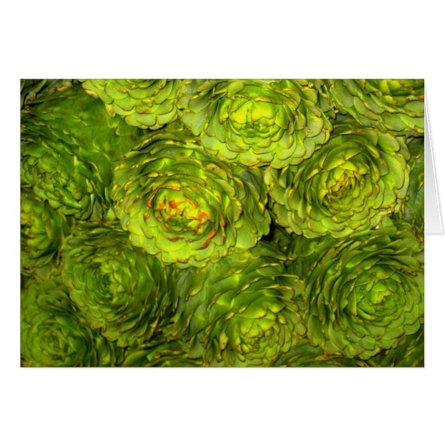 Boutique de la alcachofa (Anverso (Horizontal))