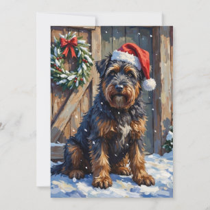 Bouvier des Flandres Navidad Granja Nevada