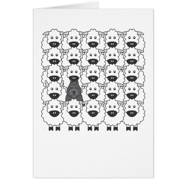 Bouvier en las ovejas (Frente)