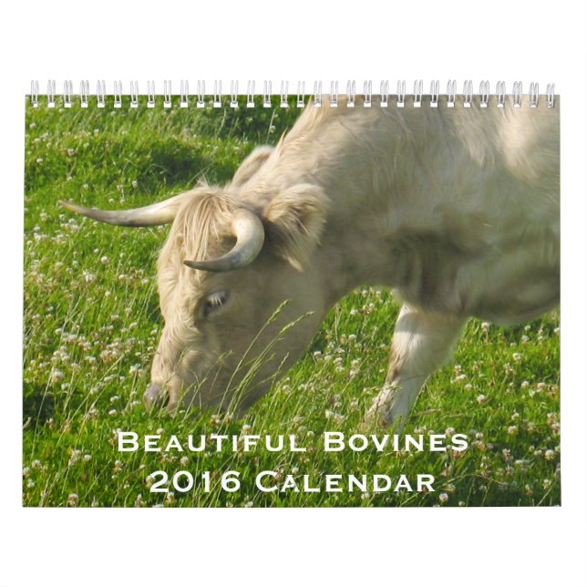 Bóvidos hermosos calendario de 12 meses para 2016 (Tapa)