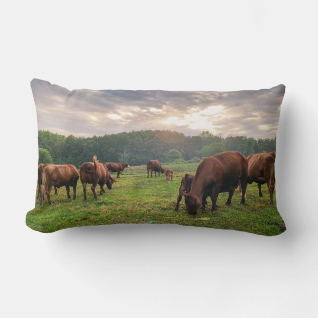 Bovino En El Cojín decorativo Sunset (Anverso)