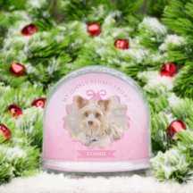 Bow Ribbon Glittering Mascota Memory Photo Pink