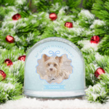Bow Ribbon Glittering Memoria Mascota Foto Azul