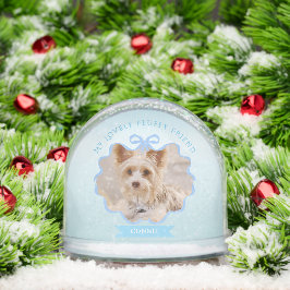 Bow Ribbon Glittering Memoria Mascota Foto Azul