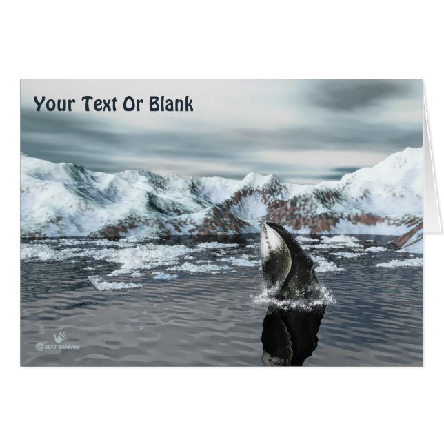 Bowhead Whale (Anverso (Horizontal))