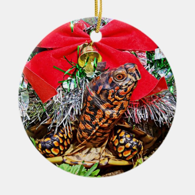 Box Turtle Ornamento de Navidad (Frente)