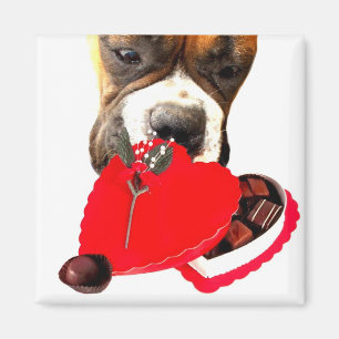 Boxeador del el día de San Valentín con el imán