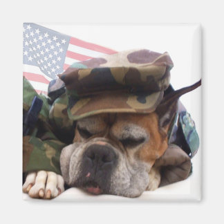 Boxeador militar Imán de perro