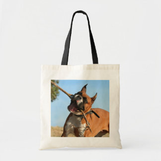 Boxeador que juega la bolsa de asas