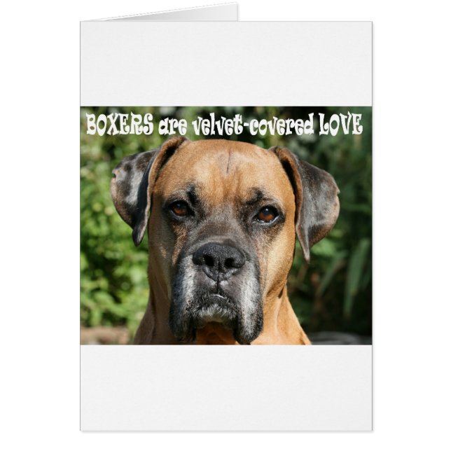 Boxer: Amor velvet (Frente)