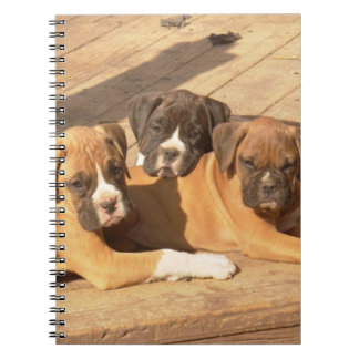 Boxer cachorro cuaderno de espiral