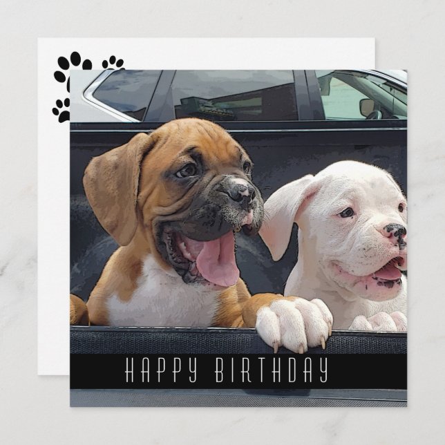 Boxer cachorros Invitación feliz cumpleaños de per (Anverso / Reverso)