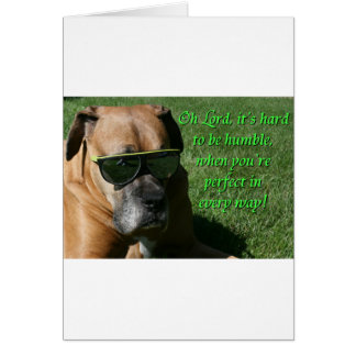 Boxer: Difícil de ser humilde