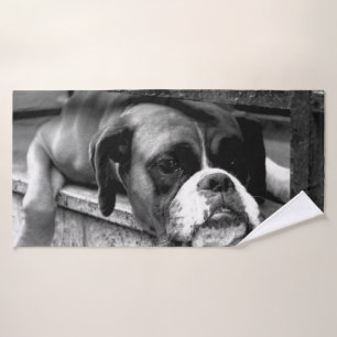 Boxer Dog En Windowsill btcn