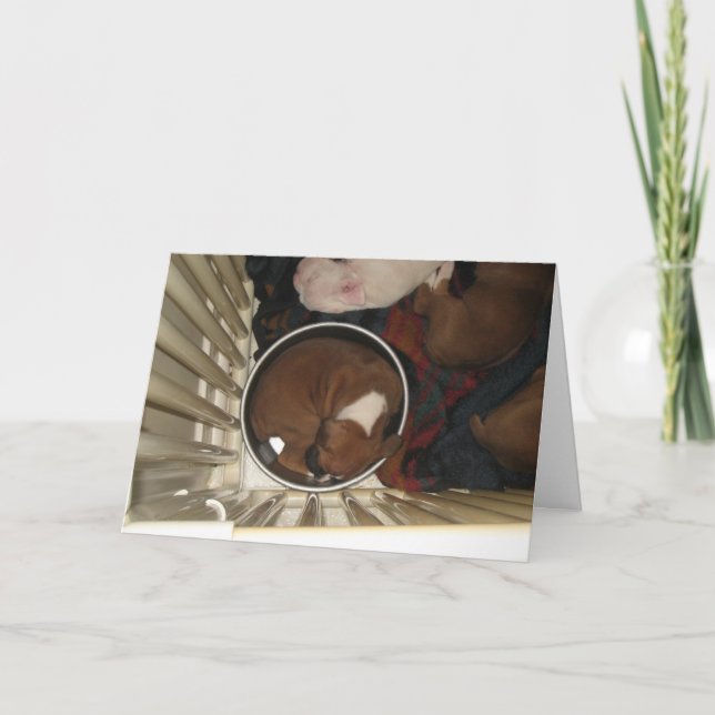 Boxer durmiendo en la tarjeta de cumpleaños del ta (Anverso)